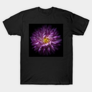 Backyard Flowers 20 Color Version T-Shirt